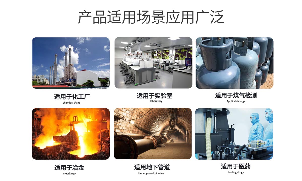 便攜擴(kuò)散式氣體檢測儀-便攜有毒氣體測量儀-擴(kuò)散式可燃?xì)怏w報(bào)警儀